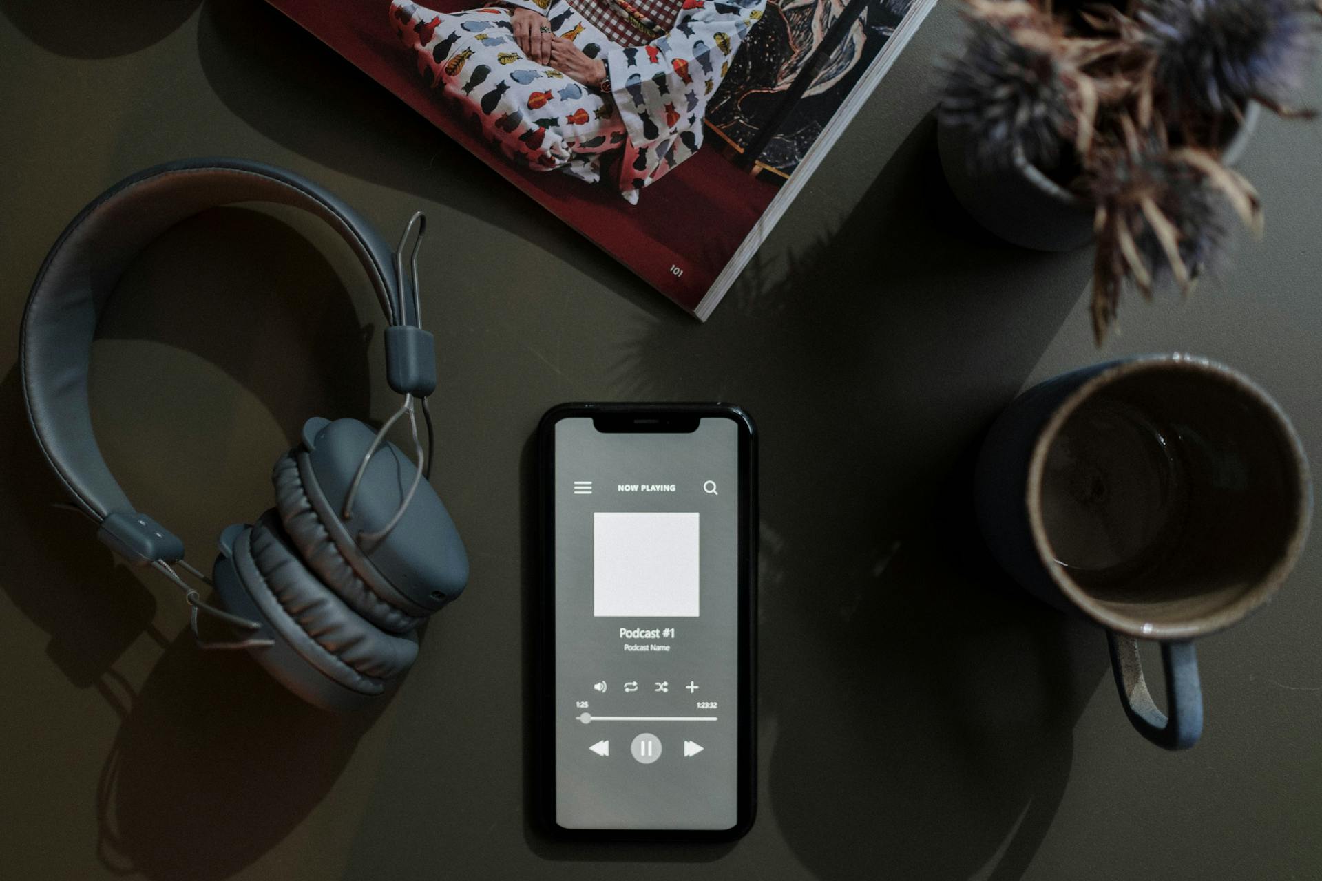 Podcasting Platforms: Exploring New Audio Frontiers